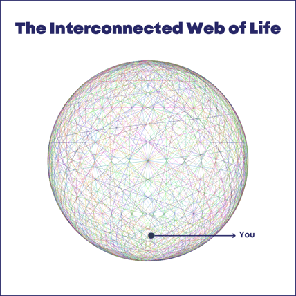 The Interconnected Web of Life