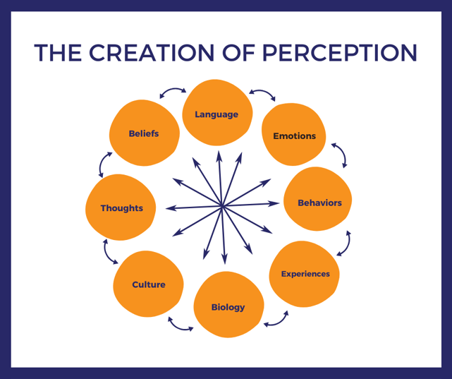 creation of perception