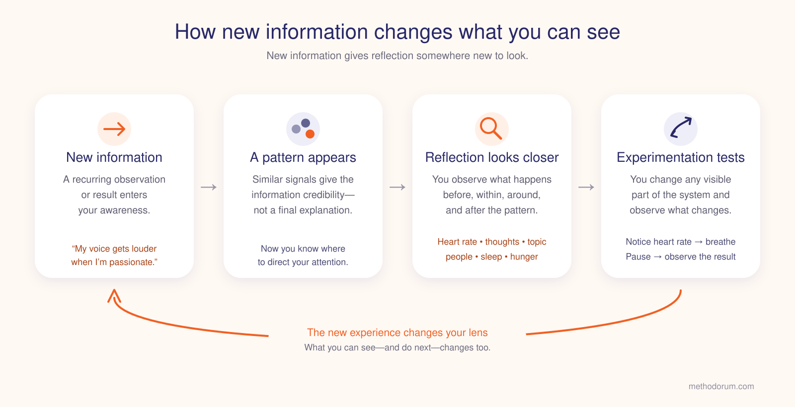 how new information changes what you see